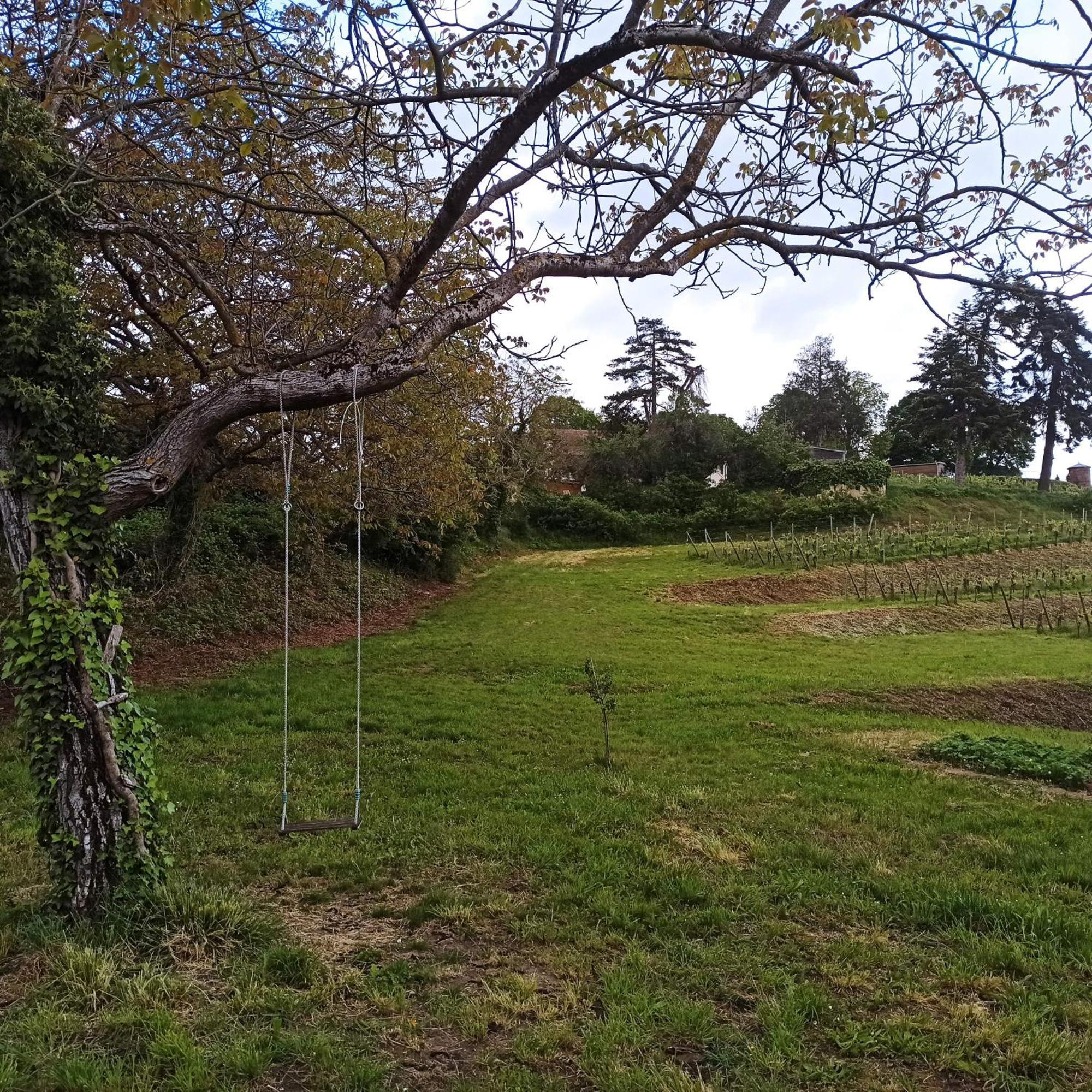Joli Gite F2 Independant Avec Jardin Prive Rouffach Bagian luar foto