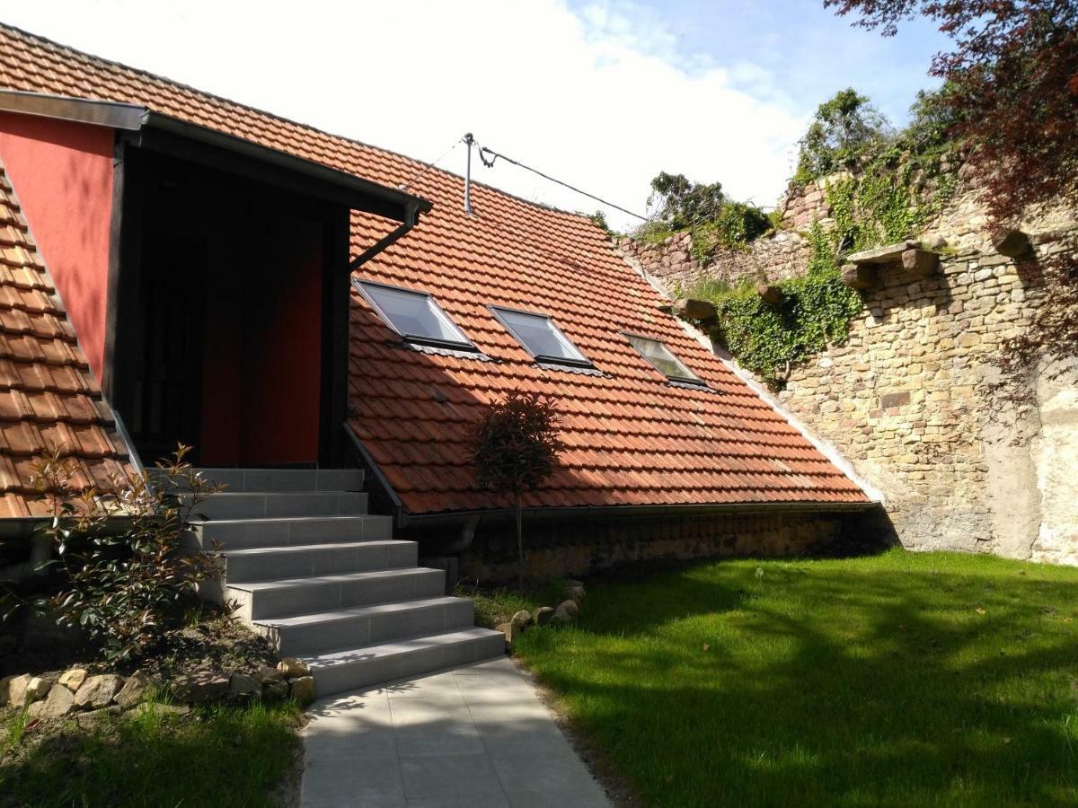 Joli Gite F2 Independant Avec Jardin Prive Rouffach Bagian luar foto